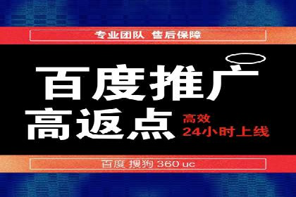 SEM专员的角色与成功案例解析